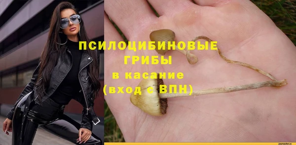 ешки Верхний Тагил