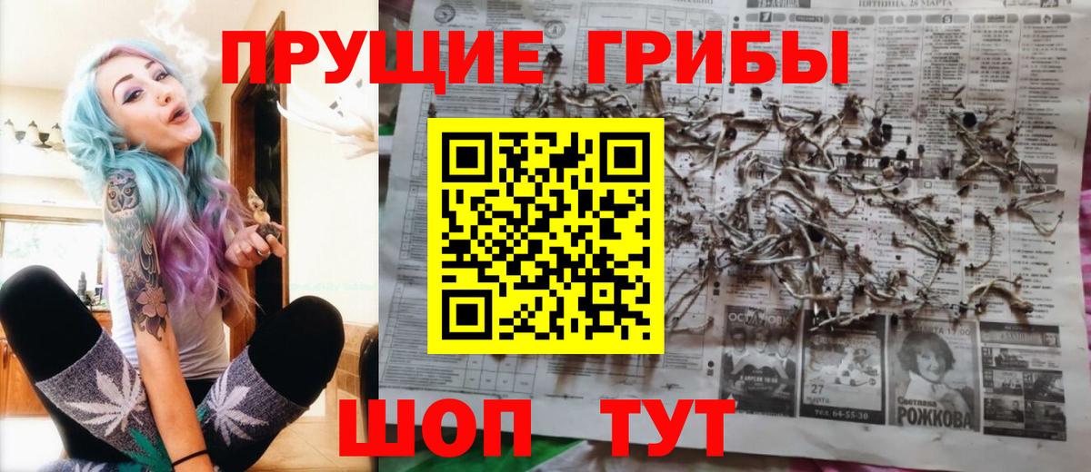 Галлюциногенные грибы MAGIC MUSHROOMS  Вход с VPN  Вичуга 
