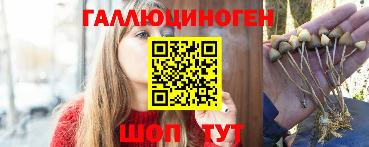 Галлюциногенные грибы Cubensis  Псилоцибиновые грибы Magic Shrooms  Вичуга 